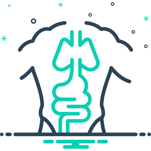 Proctology (Piles, Fissures, Fistulas)