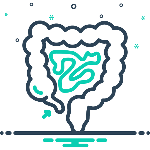 Colorectal Cancer Care