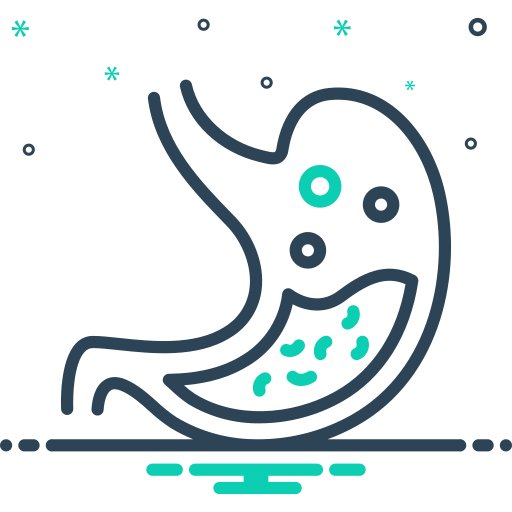 Bariatric Services